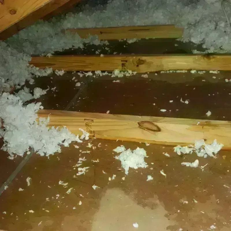 Attic Water Damage in Selma, NC