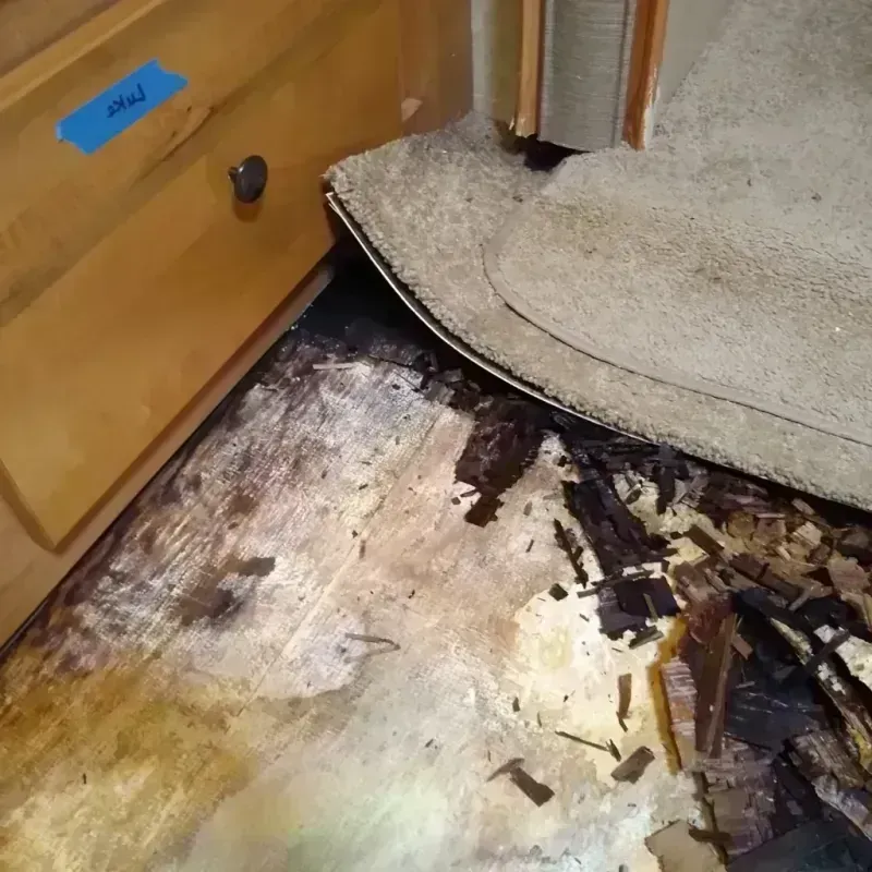 Wood Floor Water Damage in Selma, NC